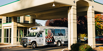 decorative image for Valley Transit plus services